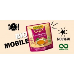 SOUPE LENTILLES CORAIL ET EPICES 25CL