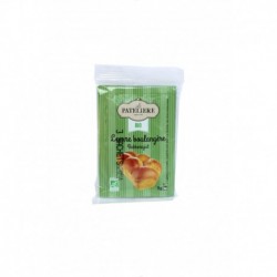 LEVURE BOULANGERE 3 X 9 G