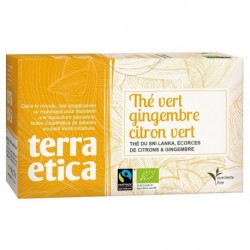 THE VERT GINGEMBRE CITRON VERT 20 INFUSETTES