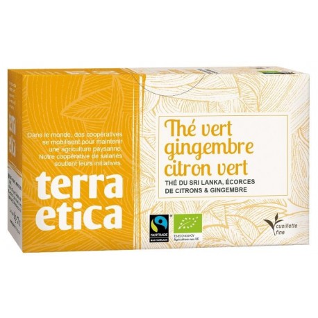 THE VERT GINGEMBRE CITRON VERT 20 INFUSETTES