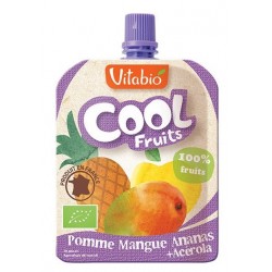 GOURDE COOL FRUITS POMME MANGUE ANANAS 4X90G VITABIO