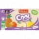 GOURDE COOL FRUITS POMME MANGUE ANANAS 12X90G VITABIO