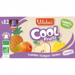 GOURDE COOL FRUITS POMME MANGUE ANANAS 12X90G VITABIO