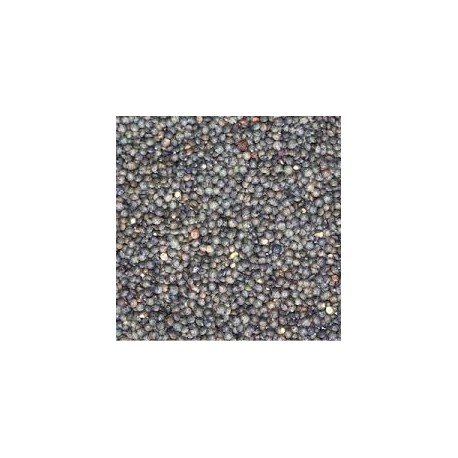 LENTILLE VERTE MONBIO VRAC