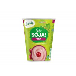 SOJADE CERISE 400 G