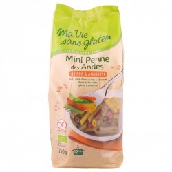 MINI PENNES DES ANDES 3C SSG