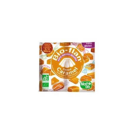 BIOFLAN CARAMEL 8G SANS SUCRES AJOUTES