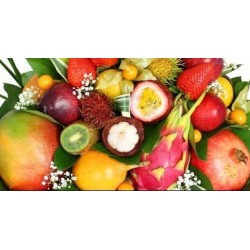 QUADRETTE POM-FRUITS EXOTIQUES SSUC 4X100G