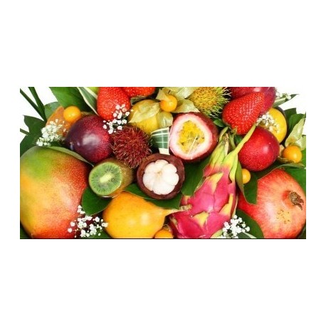 QUADRETTE POM-FRUITS EXOTIQUES SSUC 4X100G