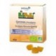 A.GOMMES PROPOLIS EUCALYPTUS 45G