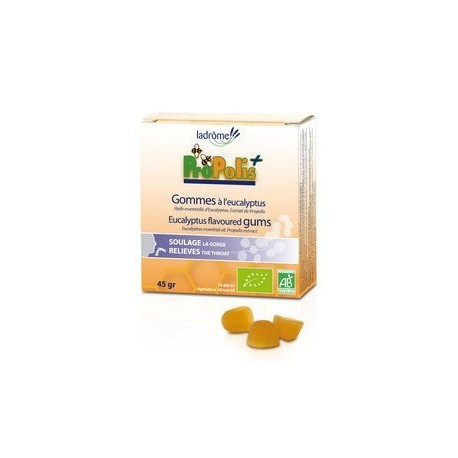 A.GOMMES PROPOLIS EUCALYPTUS 45G