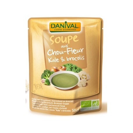 SOUPE CHOU-FLEUR ET KALE 500G DANIVAL