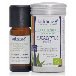 HUILE ESSENTIELLE EUCALYPTUS RADIE 10ML