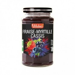 DELICE FRAISE MYRTILLE CASSIS 290G