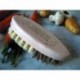 BROSSE LEGUME*