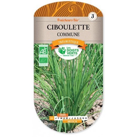 SEMENCE CIBOULETTE 1.5G