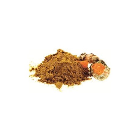 CURCUMA MOULU 500G POT PET