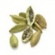 CARDAMOME GOUSSES 25G