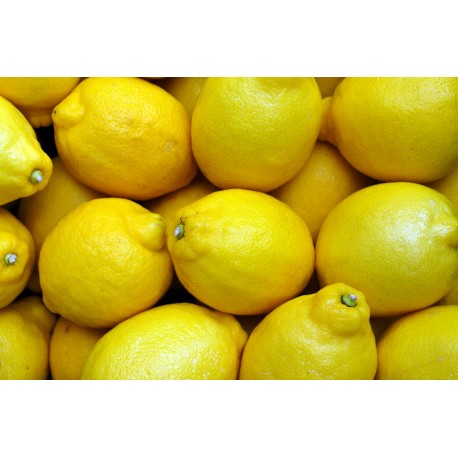 FL CITRONS JAUNES AU POIDS