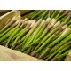 FL ASPERGE VERTE AU POIDS
