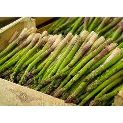FL ASPERGE VERTE AU POIDS