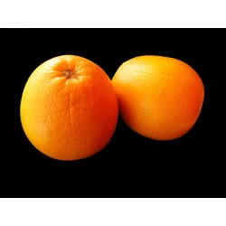 FL POMELOS ROSES AU POIDS