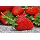 FL FRAISE CLERY BARQUETTE