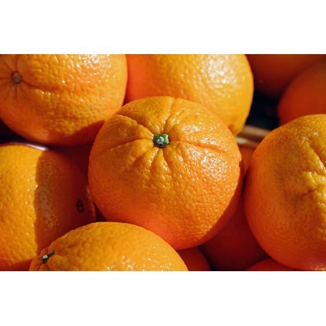 FL ORANGE CAISSE 10KG