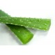 FL ALOE VERA AU POIDS