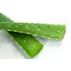 FL ALOE VERA AU POIDS