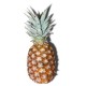 FL ANANAS PAIN DE SUCRE BENIN AU POIDS