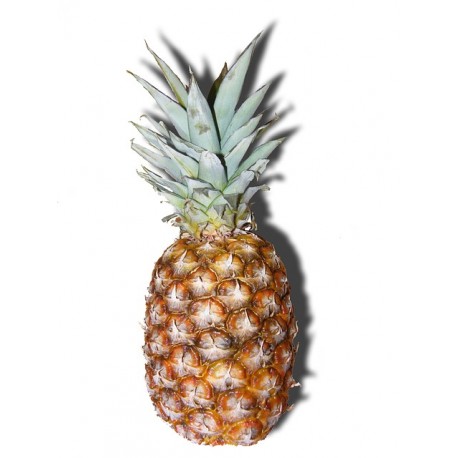 FL ANANAS PAIN DE SUCRE BENIN AU POIDS