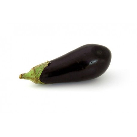 FL AUBERGINES FRAICHES AU POIDS