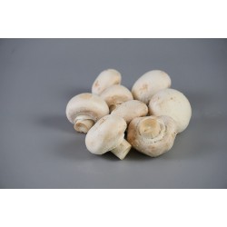 FL CHAMPIGNONS DE PARIS AU POIDS