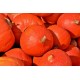 FL COURGE POTIMARRON AU POIDS