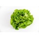 FL SALADE PIECE