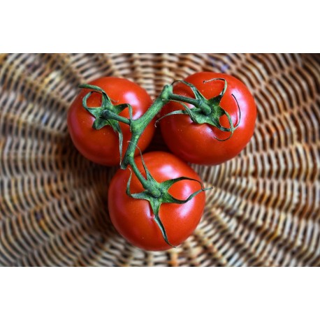 FL TOMATE GRAPPE ESP AU POIDS