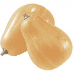 FL COURGE SUCRINE DE BERRY AU POIDS