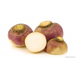FL RUTABAGA AU POIDS