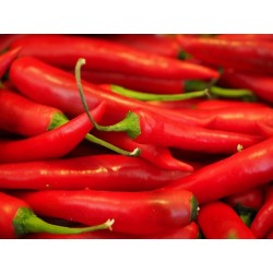 FL PIMENT DOUX ESP AU POIDS