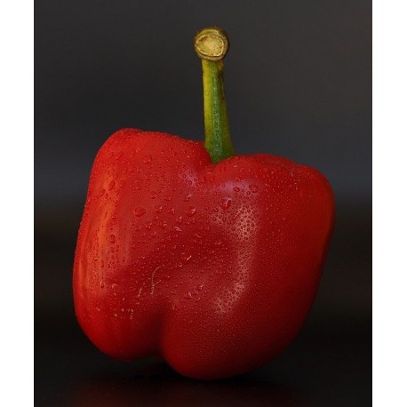 FL POIVRON ROUGE ESP AU POIDS