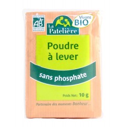 POUDRE A LEVER SS PHOSPHATE 10GX8 MOULIN DES MOINES