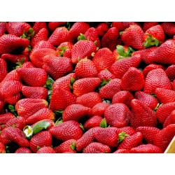 FL FRAISE LOCALE 250G
