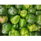 FL POIVRON VERT ESPAGNE AU POIDS