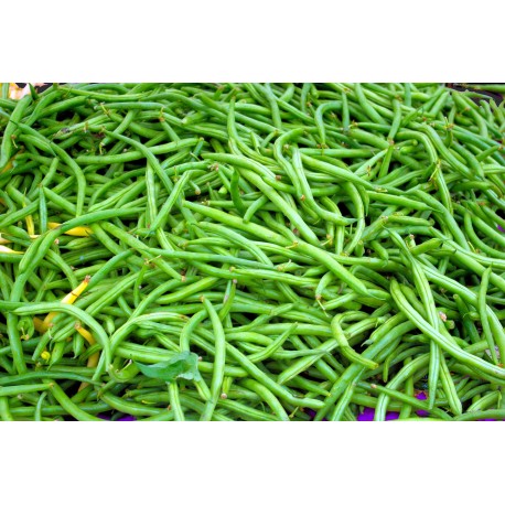 FL HARICOT VERT AU POIDS