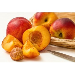 FL NECTARINE JAUNE AU POIDS