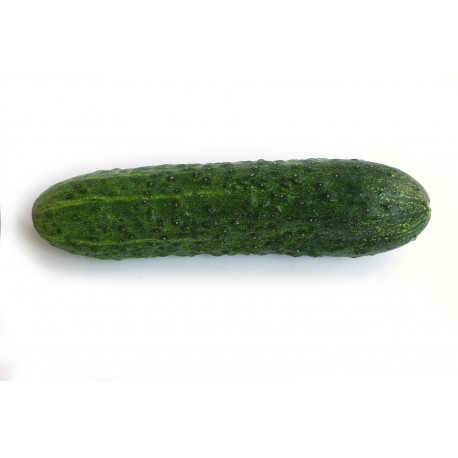 FL CONCOMBRE NOA AU POIDS