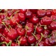 FL CERISE AU POIDS