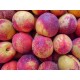 FL NECTARINE BLANCHE AU POIDS