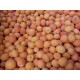 FL ABRICOT CONFITURE AU POIDS